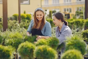 Identifying Your Property Preferences